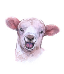 Watercolor single lamb animal isolated on a white background illustration.

