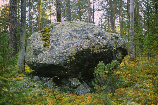 Reserve "Kostomukshsky". Lapland sej. Karelia.