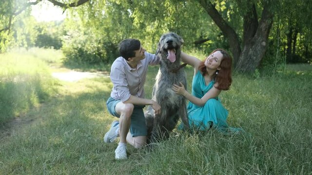 Lovely young couple caressed their irish wolfhound dog during the walking in the park. Having fun together. Animal care concept