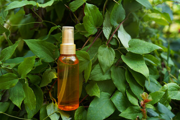 Brown bottle of essential cosmetic oil in green natural background