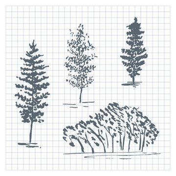 Sketch trees. Set of hand drawn silhouettes trees. Vector illustration isolated on checkered background.