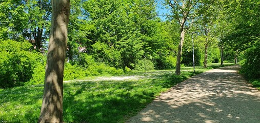 Obraz premium Grüner Wanderweg