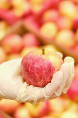 Female hand in a medical glove holds an apple near a shelf in a supermarket, close-up. Visiting public places during the coronavirus pandemic