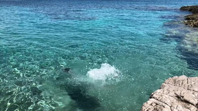 Brave young woman jumping off a cliff into the clear sea bay. Sunny day, no people, blue sea to the horizon