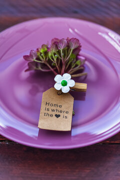 Hortensienblüte auf einem Teller als Tischdekoration