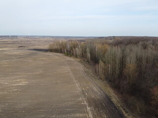 Agricultural field near the forest, aerial view. Landscape.