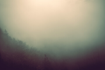 Fototapeta premium Foggy autumn landscape, sad feelings in the nature. Background with dark, soft colors. Bad mood, depression concept
