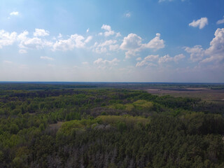Blue sky over a large beautiful forest, aerial view.