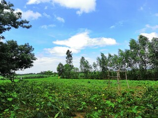 Clear blue pollution-free sky for complete eye pleasure Hills and Indian farmlands makes an incredible view to watch upon
