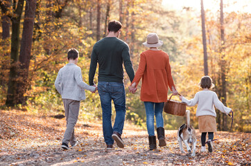 Rear view of young family with small children and dog on a walk in autumn forest.