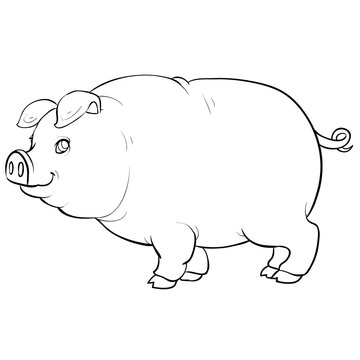 pig sketch, coloring book, isolated object on white, vector illustration,