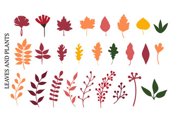 Fototapeta na wymiar Autumn Leaves and Plants, Abstract Colorful Botanical Vector Elements. Red, orange fall branches and leaves set.