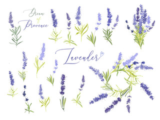 Fototapeta na wymiar Lavender illustration wreath ith herbs and lettering. Watercolor outline vintage sketch on white background. Vector botanical paking or card design.