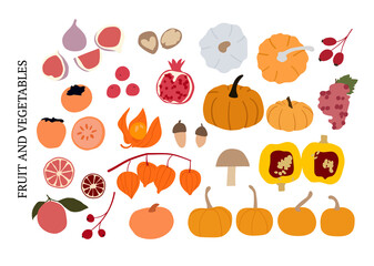 Abstract autumn fruit and vegetable set, fall elements collection vector. Pumpkin, figs, physalis, persimmon, grape, berries, orange, rose hip