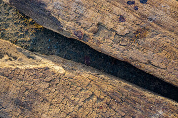 Closeup of natural wood texture for abstract background or pattern 