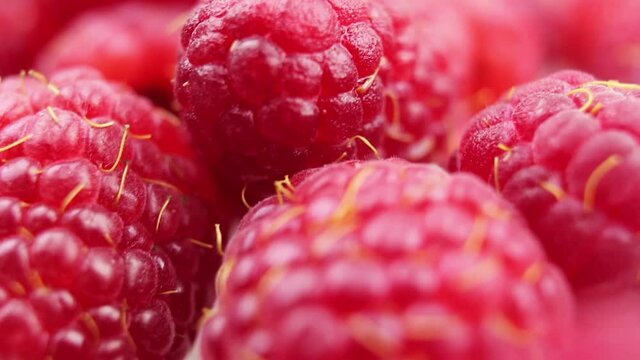 raspberry berry on a white background macro