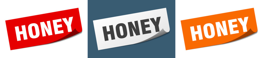 honey grunge vintage retro band. honey ribbon