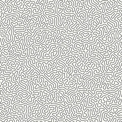 Abstract organic background, natural maze labyrinth, reaction diffusion pattern, black and white organic shapes
