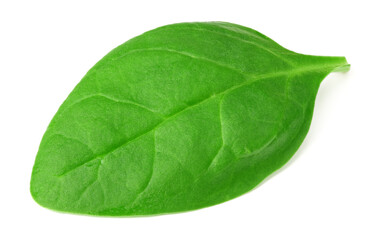 Obraz na płótnie Canvas spinach leaves isolate on white background. Healthy food.