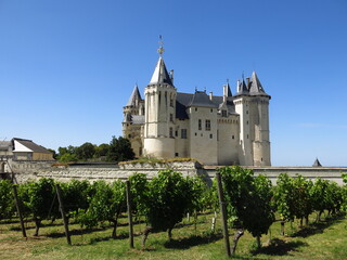 Fototapeta na wymiar Château de Saumur val de Loire