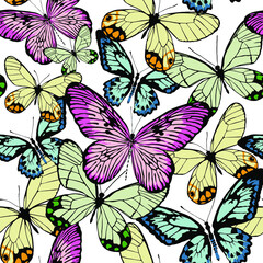 Multicolored butterflies, realistic style isolated on white background. Seamless pattern. Vector illustration