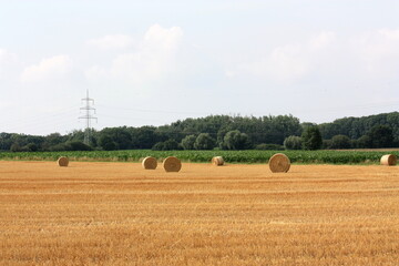 Feld mit Strohballen bei Sonnenschein