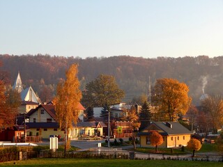 Obraz premium houses among autumn trees on a background of picturesque hills