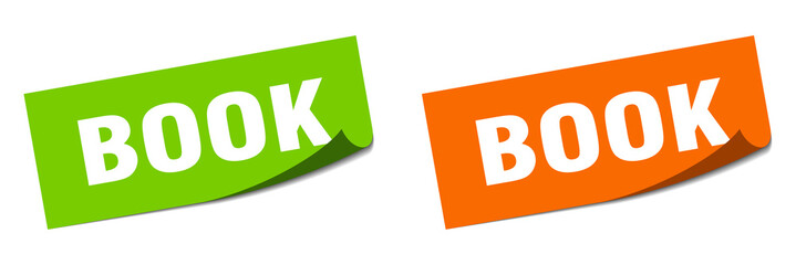 book grunge vintage retro band. book ribbon