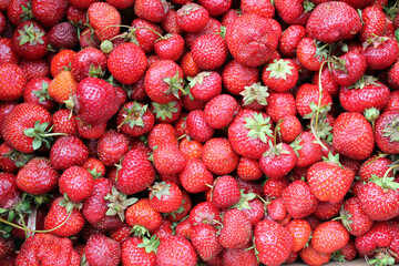 Organic fresh red strawberries. Delicious strawberries make up the background. Summer fruit theme.