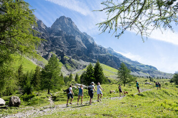 Montée vers l'Alpage d'Anzeindaz, Vaud, Suisse