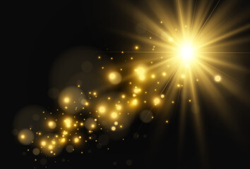 Bright beautiful star.Vector illustration of a light effect on a transparent background.