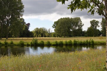 lake and trees