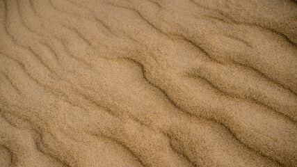 Fototapeta na wymiar Pure sea yellow sand with a relief of waves in the spring in the Baltic. Fine golden sand repeats sea waves