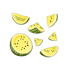 Slice and whole striped yellow watermelon set with black seeds, sketch style, vector illustration isolated on white background. Realistic hand drawing of a ripe big berry.