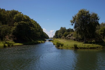 Fototapeta na wymiar river with forest