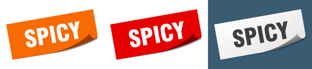 spicy grunge vintage retro band. spicy ribbon