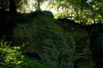 rock face in forest