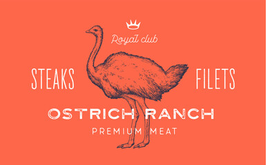 Fototapeta na wymiar Ostrich. Template Label. Vintage retro print, tag, label with ostrich drawing, engraved old school style. Poster for Butchery meat shop with text, typography, ostrich silhouette. Vector Illustration