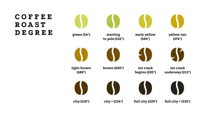 Coffee roast degree concept. Coffee beans isolated on white background, design template for cafe, restaurant, coffee point. Vector illustration