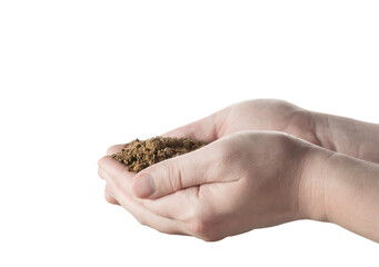 Hands with soil on white background