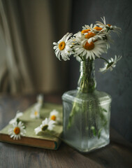Daisies, books, decanter on a dark background