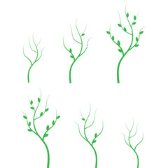 Tree growth diagram. Growth plant vector icon