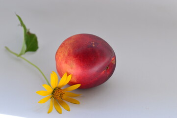 red apple and flower