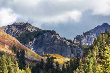 Autumn in Colorado