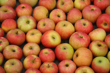 Ripe red and yellow apples, close-up