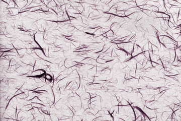 和紙　背景　素材