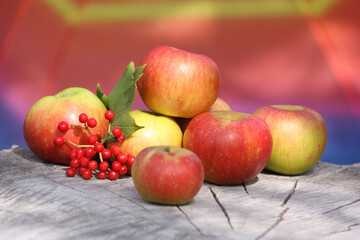 Ripe red and yellow apples, close-up