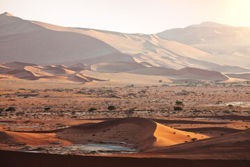 Naklejka na ściany i meble Namib