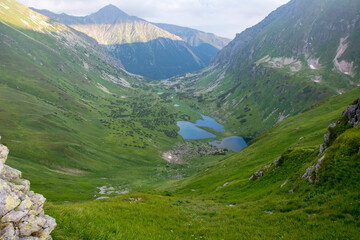 Tatry Krajobraz i Zwierzęta © RASSUMSEN