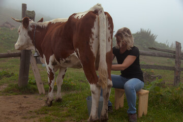 girl gets natural milk on a farm in the carpathian mountains